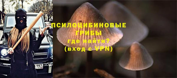 альфа пвп Верхний Тагил